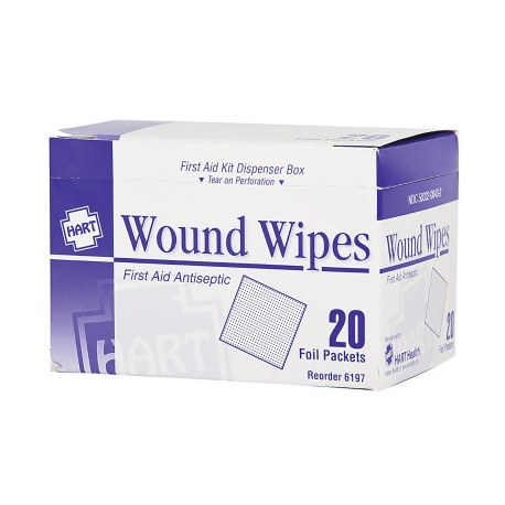 Antiseptic Wipes, 20 Per Box