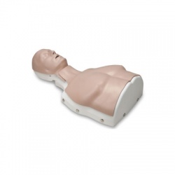 Basic Life Support Airway Trainer