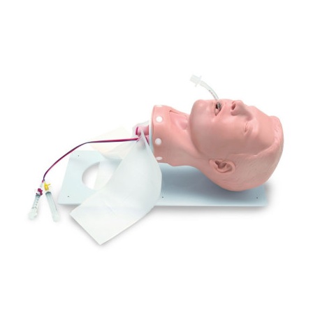 PDA STAT Deluxe Adult Airway Management Head