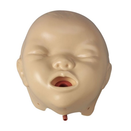 BABY ANNE - INFANT / BABY MANIKIN FACES - 6 PER PACK