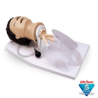 Adult Airway Management Trainer with Stand