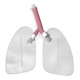 Replacement Lungs for Airway Management Manikins