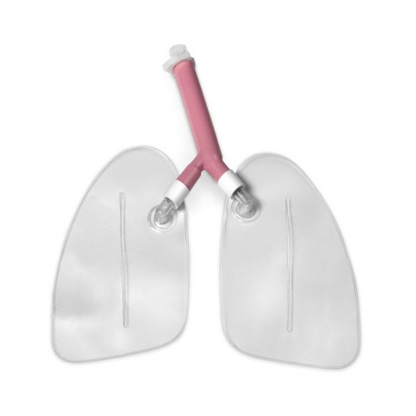 Replacement Lungs for Airway Management Manikins