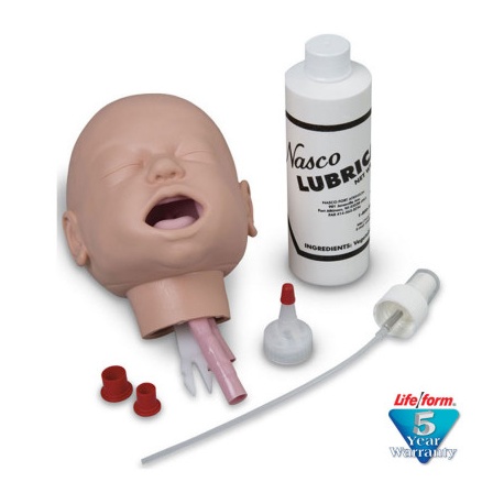 Life/form® Infant Airway Head