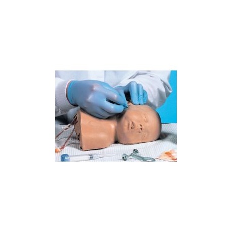 Life/form® Pediatric Head Vein Replacement Only