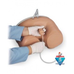 Life/form® Male Catheterization Simulator