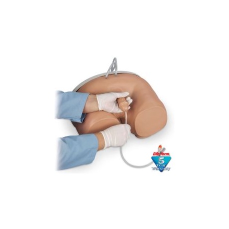 Life/form® Male Catheterization Simulator