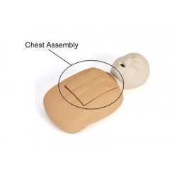 Tan Coated Infant Chest Assembly