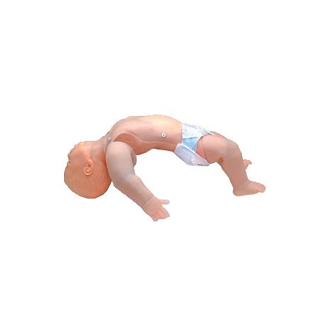 STAT Baby - Training for Life