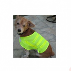 Pet Safety Vest - One Size Fits All