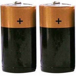Alkaline "C" Size Batteries, 1 Pair
