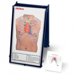 Auscultation Board with Case Only